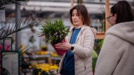 Double Check The Pot Whenever You Buy Plants At A Nursery