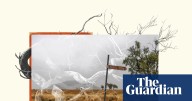 From The Descendants to Gina: Guardian Australia’s nominations for the 70th annual Walkley awards