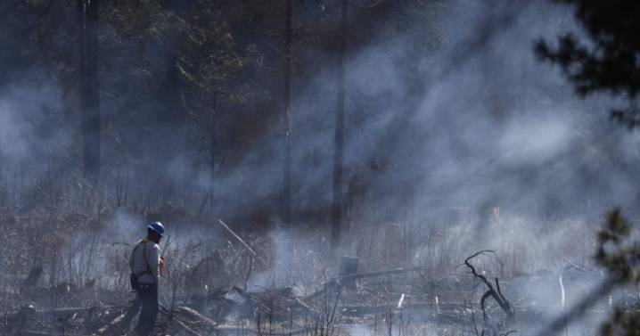 Canada must invest billions to stop wildfires: Groups warn