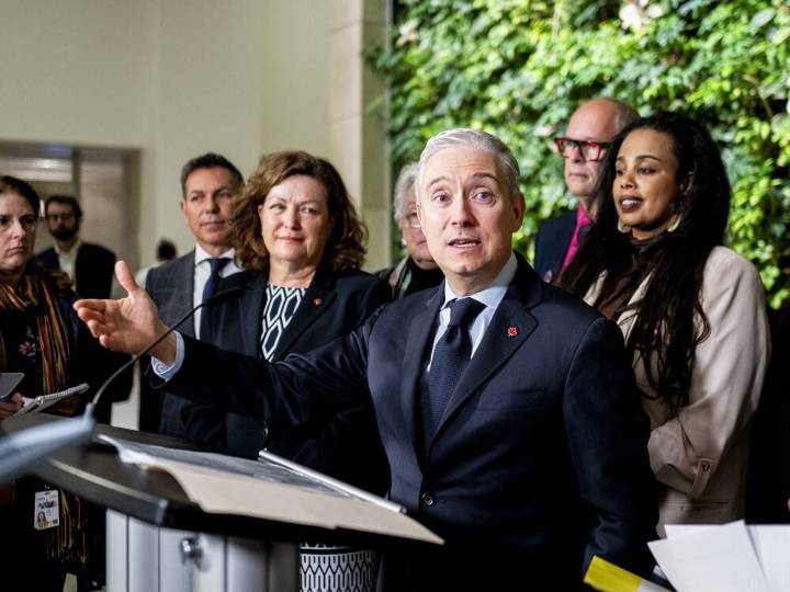 Government plan to reduce public service will include layoffs