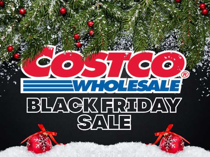 When does Costco's Black Friday sale in 2025?