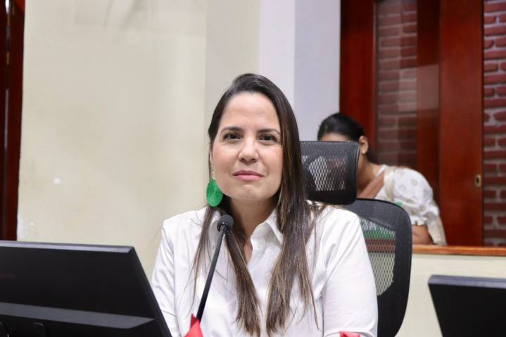 «Caravana del Terror», una tarea pendiente de la administración distrital: Laura Díaz