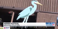 Heron Festival