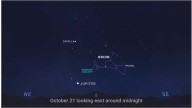 Meteors To Streak Across Dark Skies: Here’s When To Watch