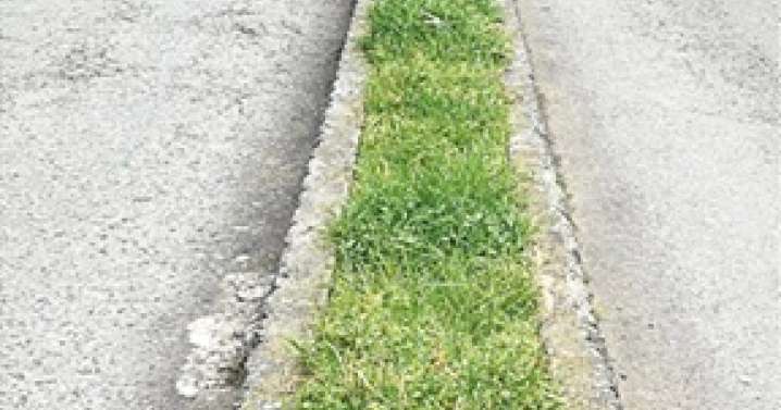 Supimos que: Descontento con el impuesto de antejardines y terrazas en El Libertador, en Caldas