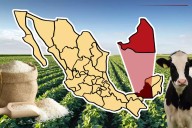 Campeche inicia cosecha de arroz con 30 mil hectáreas sembradas