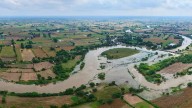Nashik: Unseasonal Rains Destroy Crops In Niphad; Farmers Demand Compensation