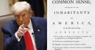 Trump uses 'common sense' to make a political point. It has populist appeal