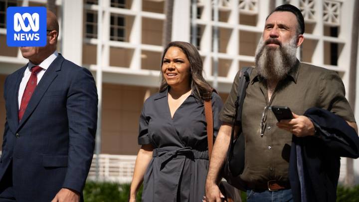 Delegates discussed 'getting rid' of land council boss during men's meeting, court hears