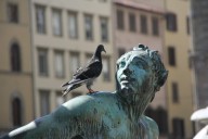 Saudi Arabia to Remove All Statues of Justin Trudeau