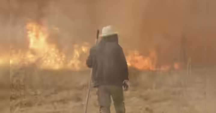 Climate inaction causing 'millions' of avoidable deaths: study