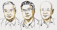Nobel de Economía 2025 a la innovación y destrucción creativa en el crecimiento económico