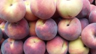 Peaches Pulled Nationwide Over Listeria Contamination Fears
