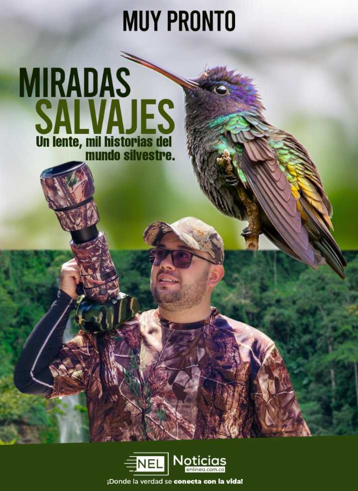 Noticias en Linea lanza la sección «Miradas Salvajes» dedicada a la fauna y la conciencia ambiental