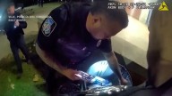 Sistema de seguridad de IA confunde una bolsa de Doritos vacía de un estudiante con un arma