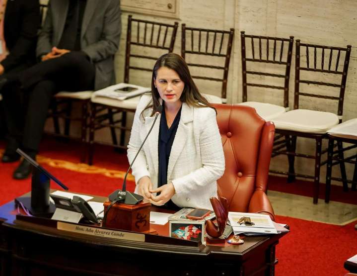 Senado aprueba medidas sobre maltrato animal, vivienda y reciclaje