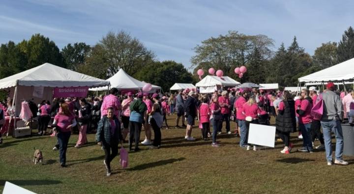 Albany’s Largest Cancer Walk Celebrates 30 Years