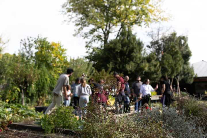 Another Way Film Festival propone actividades que acercan a niños y familias al cine y a la naturaleza