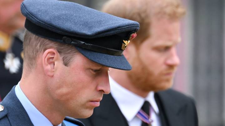 La conmovedora reacción de William y Harry al divorcio de Diana y Carlos, según una autora real