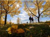 Calgary Walks 65 and 66 – Jackrabbit Trail and Weaselhead Flats Park
