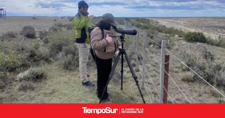 Educación y conservación La Agencia Ambiental realizará su primer registro de aves