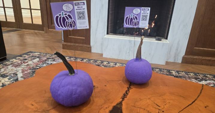 Purple 'Peace Pumpkins' spread domestic violence awareness across Lexington