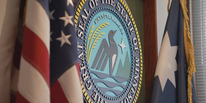 MN Sec. of State Steve Simon testifies on voting fraud in state committee