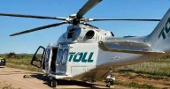 Young child airlifted to Westmead Hospital after animal attack