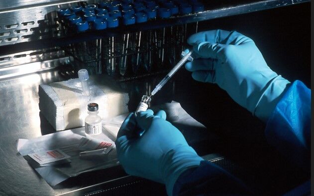 India can be termed ‘pharmacy of the world’, says ICMR