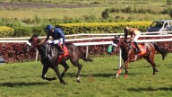 Pune Horse Racing: Regina Memorabilis Stuns Favourite To Win