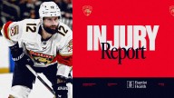 Gadjovich out a week with upper