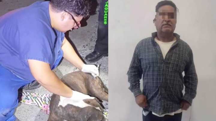 Detienen a Dos Hombres por Golpear a Perro y Dejarlo Inconsciente en Santa Catarina, Nuevo León