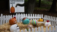 Boo at the Zoo returns to Buttonwood Park with new activities