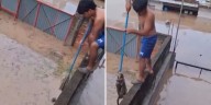 Niño se convierte en héroe al rescatar a un gatito durante inundaciones en Veracruz: video se vuelve viral