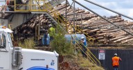 Paper mill closures like ‘ax chops’ to teetering Georgia timber industry