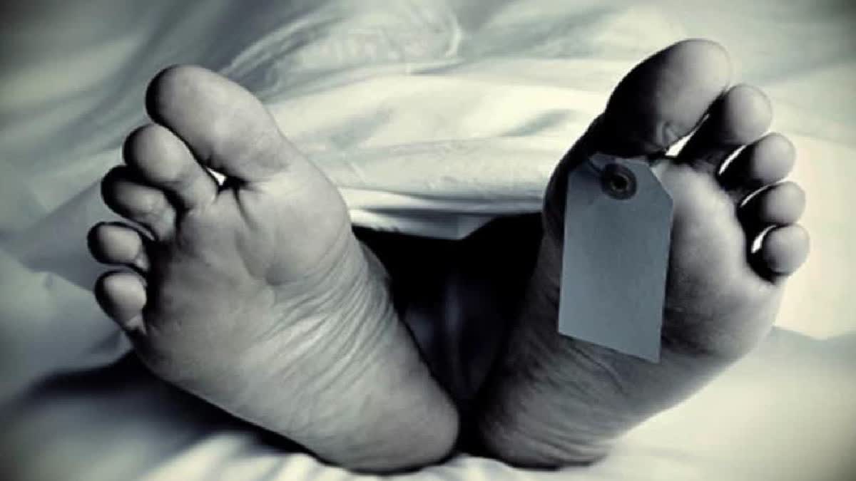 85-Year-Old US Tourist Dies Due To Sudden Illness In Rajasthan