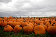 Cloudy Thursday stays dry as Portland readies for wet weekend ahead