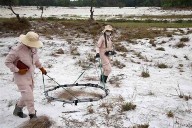 Noruega refueza cooperación en desminado en Camboya