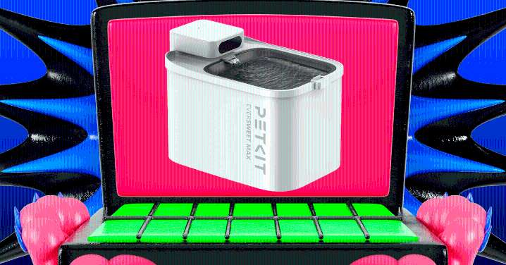 Your Cat Is Not Drinking Enough Water. This Discounted Fountain Can Help