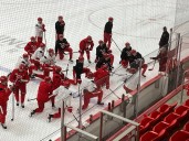 Red Wings’ Todd McLellan will keep pushing this identity
