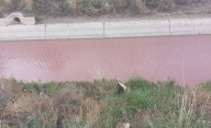 Vecinos denuncian fuertes olores y cambio de color en el canal Owen