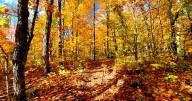 Tecumseh hosting 31st annual Appleumpkin Festival October 11