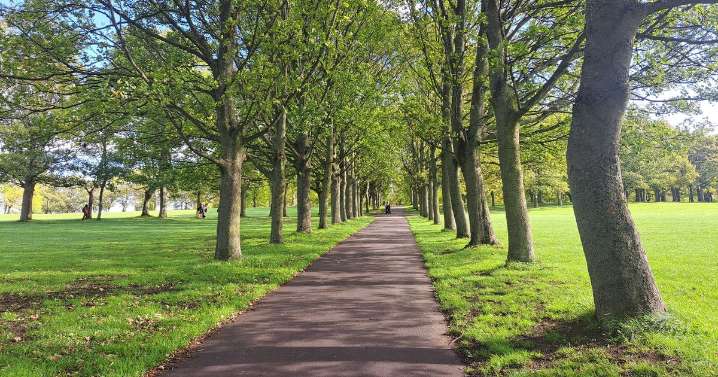 Leeds has its say on 'no-go' park after serious sex attacks