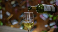 ¿Te gustan los vinos? Vive la experiencia de la vinícola San Patricio en Tequisquiapan
