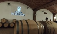 Finca Pago de La Jaraba donde el agua abundante se convierte en vino, aceite, queso y memoria