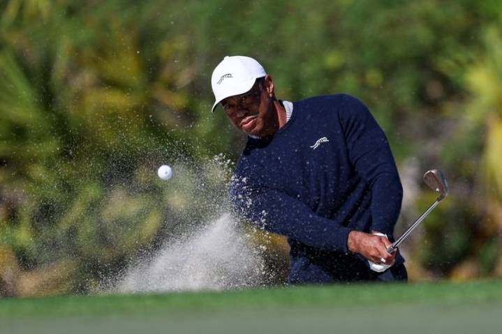 Golf-Woods will not play in his Hero World Challenge event