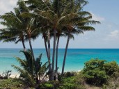 Cruise passengerfound dead after being abandoned on island