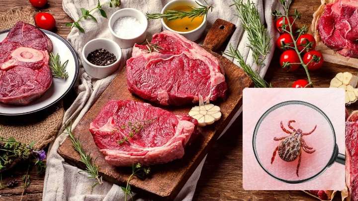 Can A Tick Bite Make You Allergic To Meat? The Surprising Science Behind Alpha