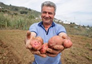 José Luis León, dedicación y pasión para cultivar la papa de más peso de 2025