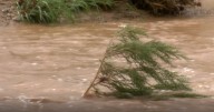 Heavy rain triggers multiple wash rescues in Tucson area